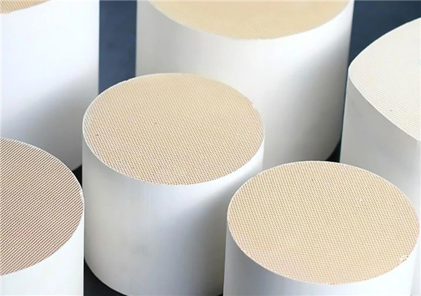 內(nèi)部多孔結(jié)構(gòu)載體